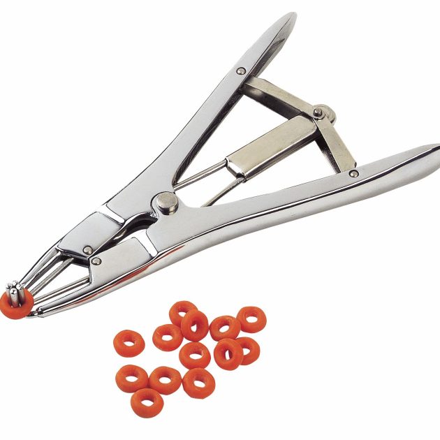 PINCE POSE ANNEAUX DE GOMME