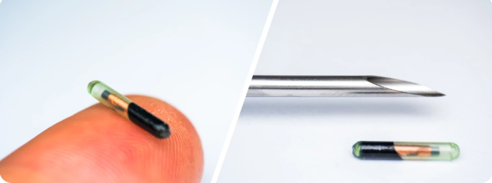 ⁦PUCE ELECTRONIQUE CHAT/CHIEN  AVEC INJECTEUR⁩ - الصورة ⁦2⁩