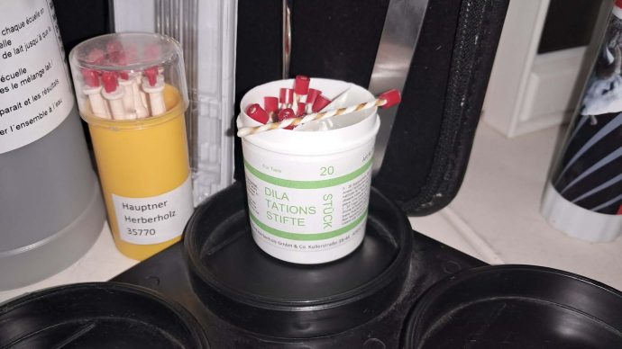 DYLASEP -DILATATEUR DE PIS BTE 20