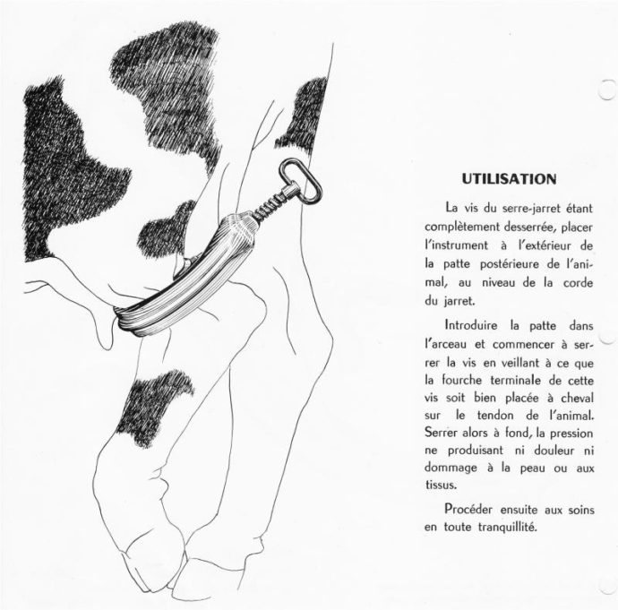 ⁦SERRE JARRET⁩ - الصورة ⁦2⁩