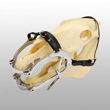 PAS D'ANE POUR CHEVAL