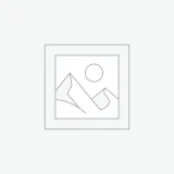 عنصر نائب Placeholder